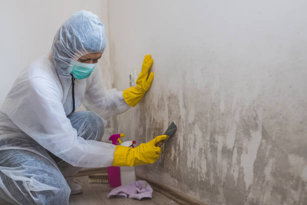 Best Emergency Mold Removal  in Peaceful Valley, WA