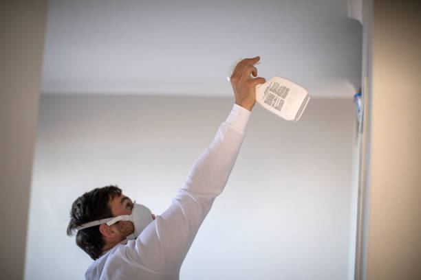 Best Black Mold Removal  in Peaceful Valley, WA
